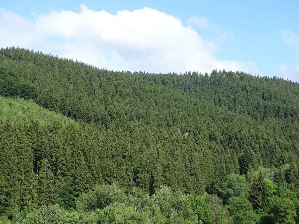 Ferienwohnung Am Berggrabenweg อิลเมเนา ภายนอก รูปภาพ